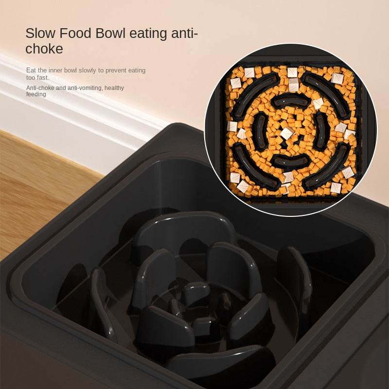 Adjustable Elevated Dog Bowls – Double Stainless Steel Feeding Station with Height-Adjustable Stand