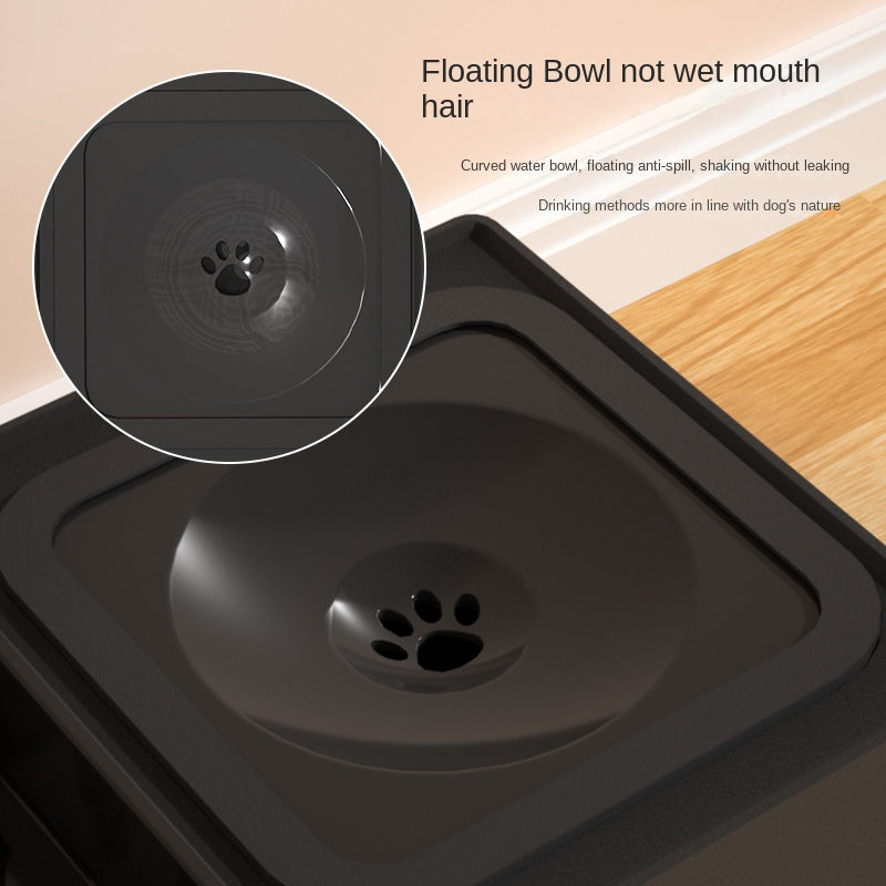 Adjustable Elevated Dog Bowls – Double Stainless Steel Feeding Station with Height-Adjustable Stand