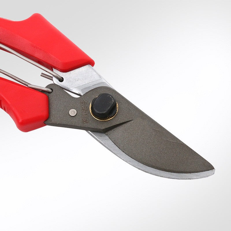 Premium Fruit Tree Pruning Shears – Sharp Stainless Steel Gardening Scissors