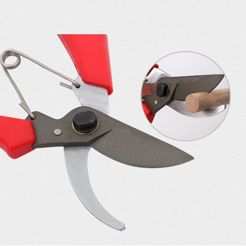 Premium Fruit Tree Pruning Shears – Sharp Stainless Steel Gardening Scissors