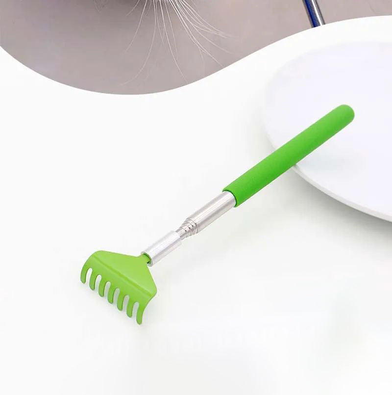 Interactive Cat Scratching Toy with Massage Brush – Multi-Function Play & Grooming Station