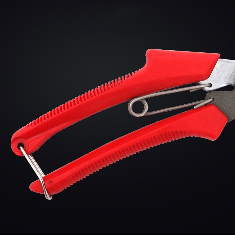 Premium Fruit Tree Pruning Shears – Sharp Stainless Steel Gardening Scissors