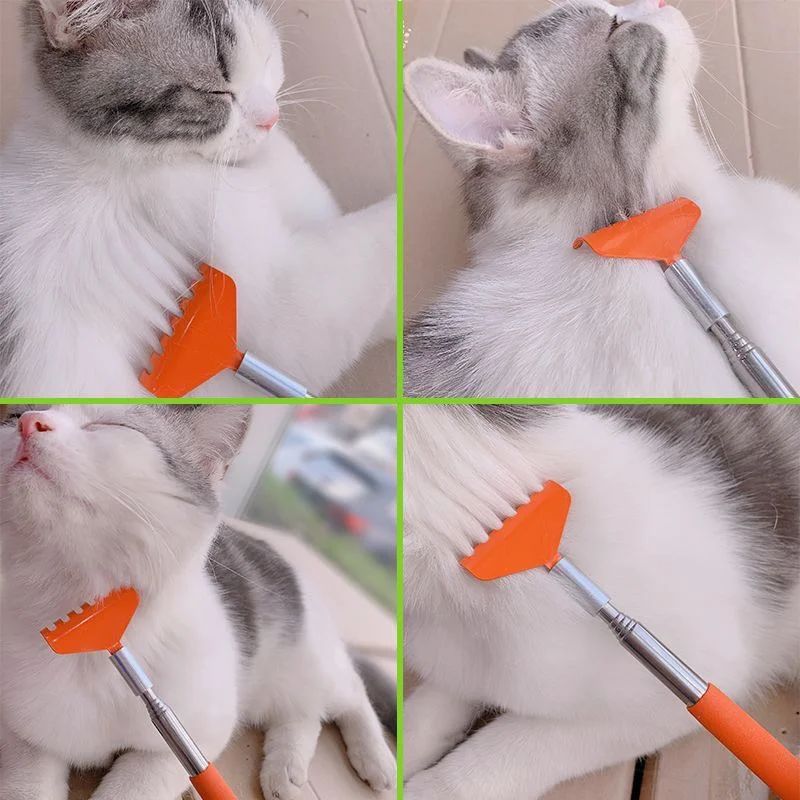 Interactive Cat Scratching Toy with Massage Brush – Multi-Function Play & Grooming Station