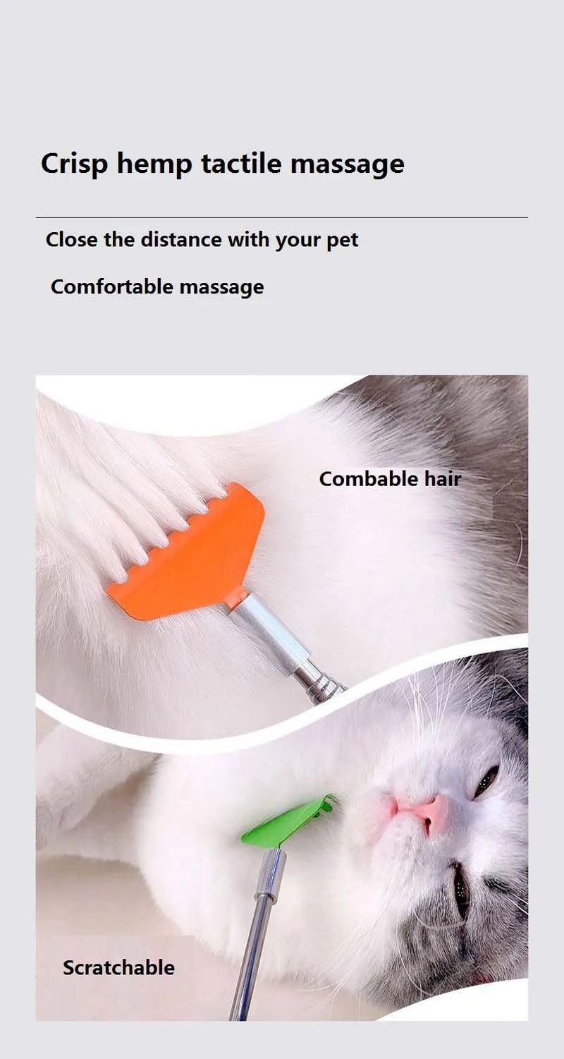 Interactive Cat Scratching Toy with Massage Brush – Multi-Function Play & Grooming Station
