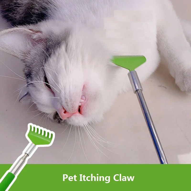 Interactive Cat Scratching Toy with Massage Brush – Multi-Function Play & Grooming Station