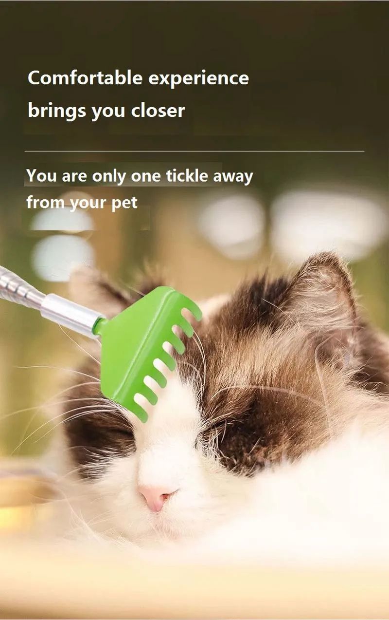 Interactive Cat Scratching Toy with Massage Brush – Multi-Function Play & Grooming Station