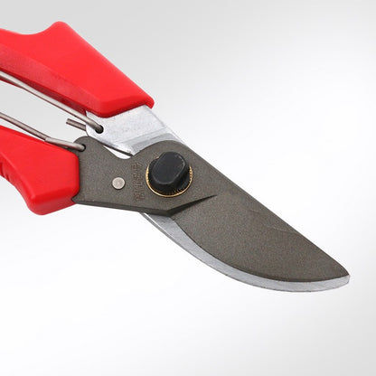 Premium Fruit Tree Pruning Shears – Sharp Stainless Steel Gardening Scissors