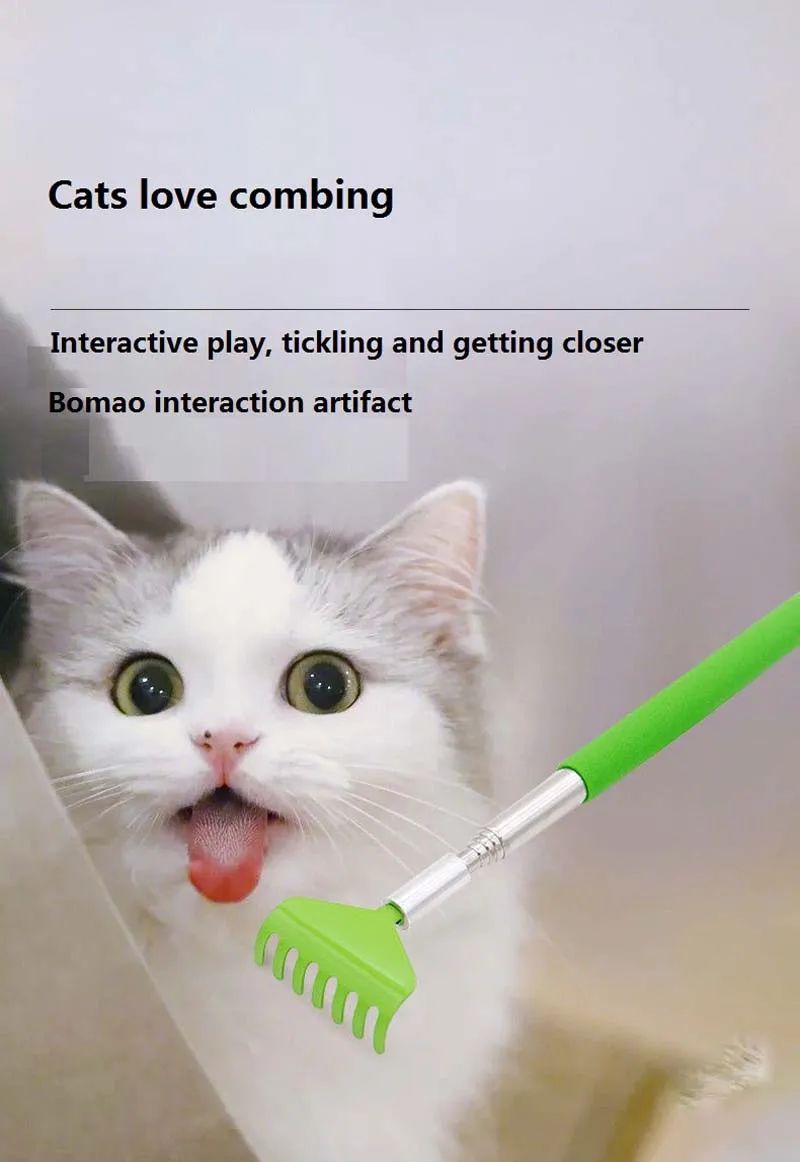 Interactive Cat Scratching Toy with Massage Brush – Multi-Function Play & Grooming Station