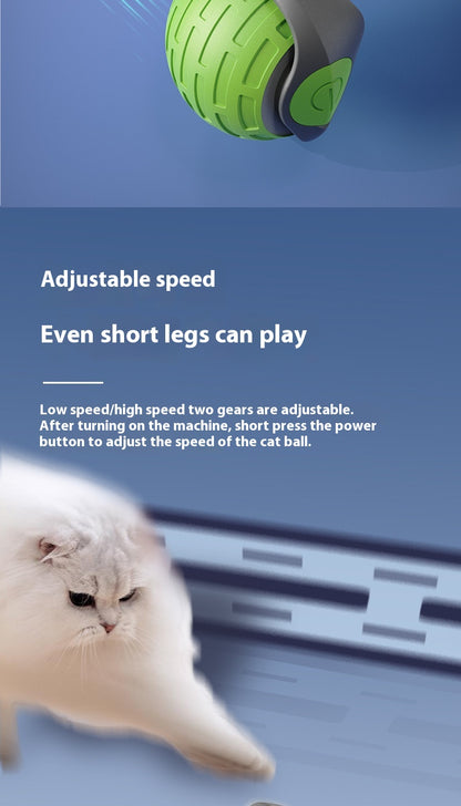 Smart Electric Rolling Ball for Cats – USB Rechargeable Interactive Teaser Toy